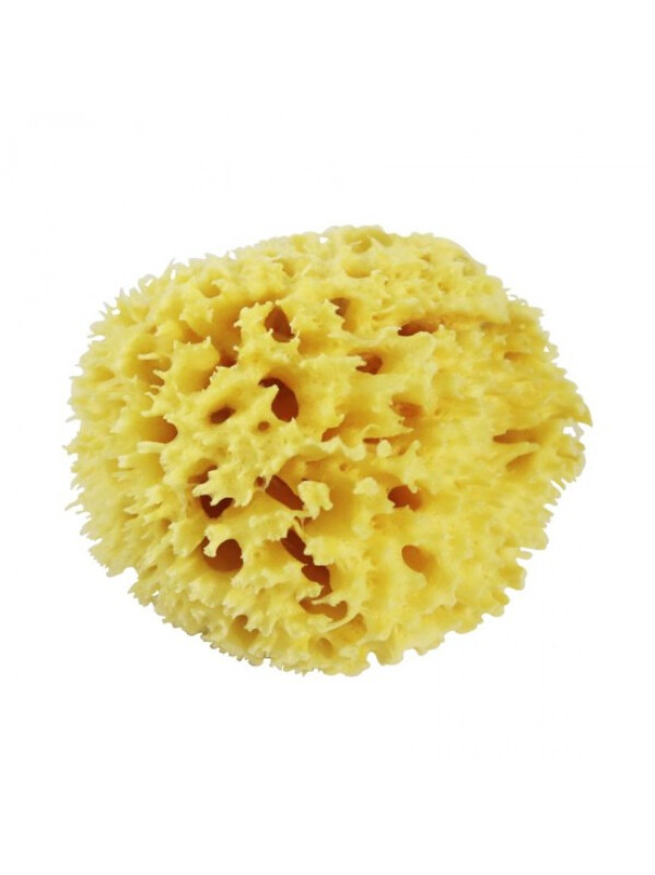 ESPONJA NATURAL GRANDE