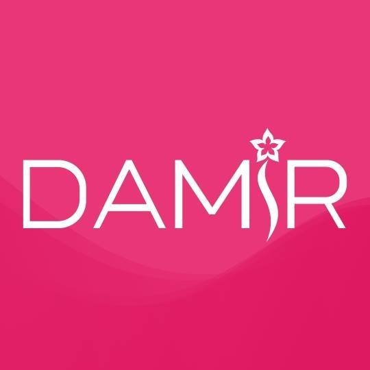 DAMIR